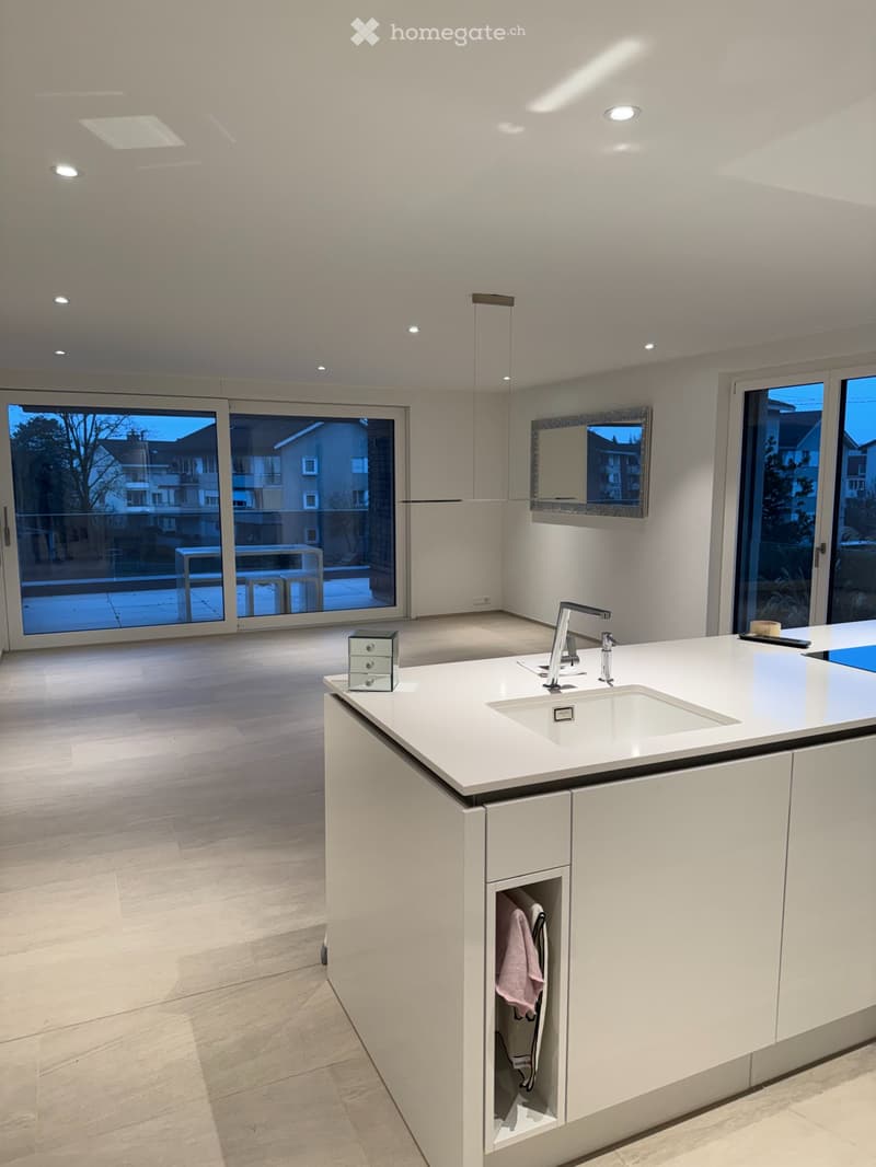 Appartamento loft esclusivo 2 ½ locali in posizione centrale (3)