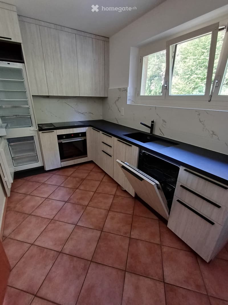 Grande 4,5 con giardino ideale per famiglia (2)