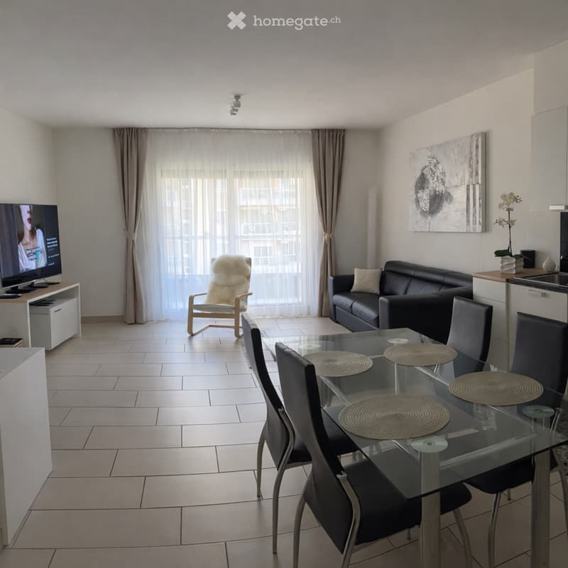 Bellissimo 3,5 locali luminoso - Viganello (4)