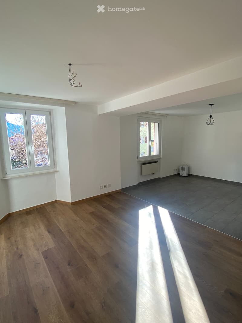 Affittiamo appartamento 3,5 locali - 1P casa bifamigliare (2)