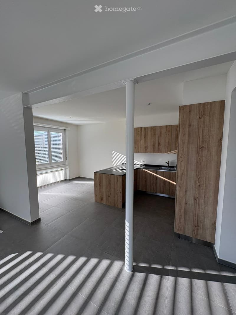 Appartamento ristrutturato 3.5 locali con giardino - Lugano (3)