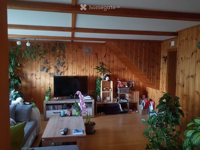 4.5 room apartment / 1st floor/attic / available immediately (3)