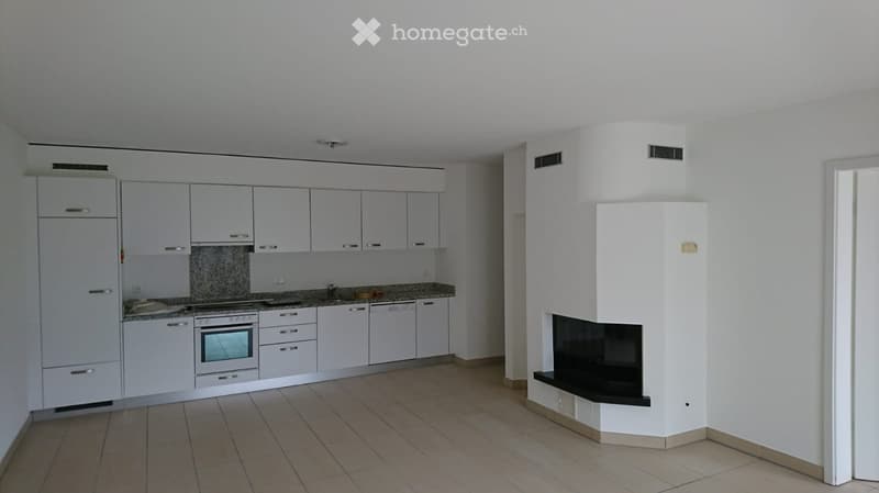 Affitto Appartamentgo 3.5 locali zona tranquilla (2)