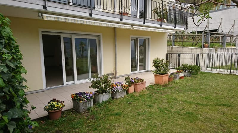 Affitto Appartamentgo 3.5 locali zona tranquilla (4)