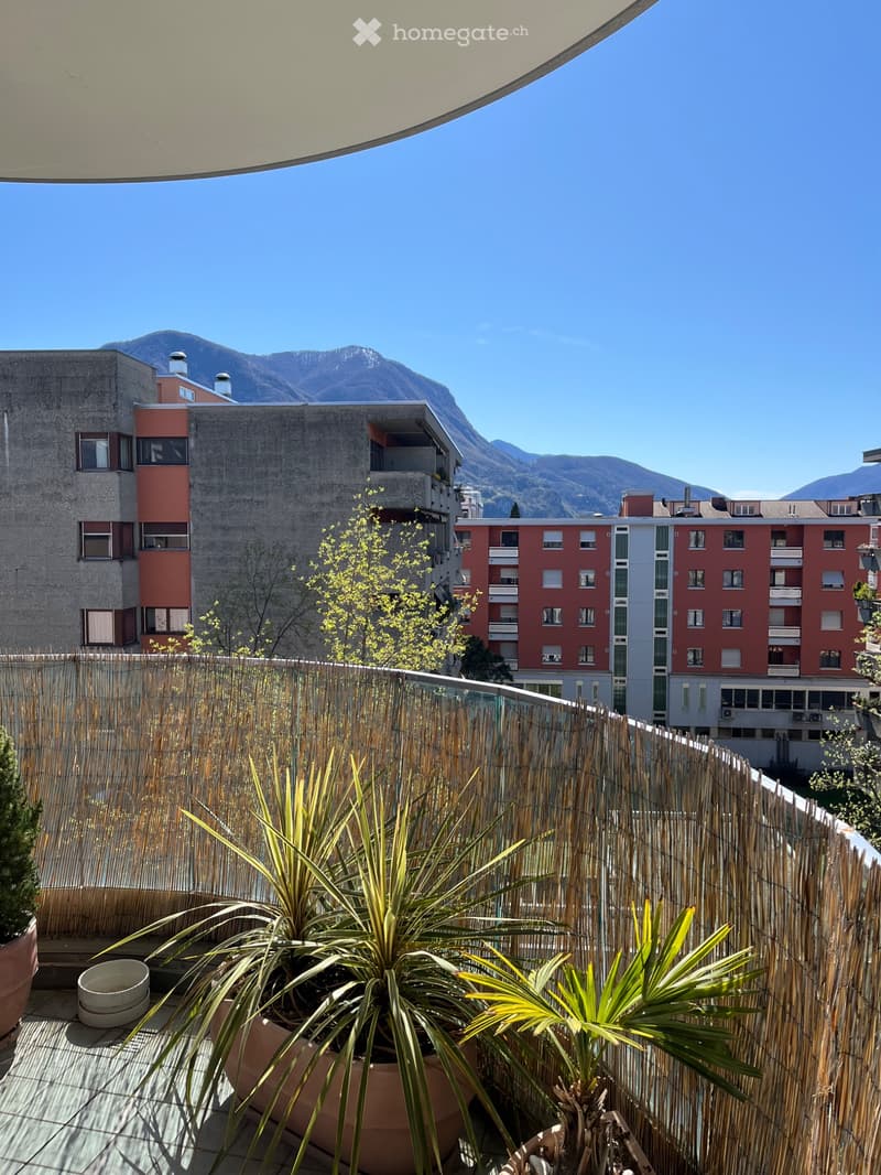 Appartamento 3.5 locali, vista, grande balcone SE (3)