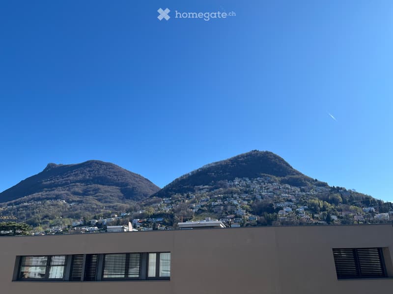 Appartamento 3.5 locali, vista, grande balcone SE (4)