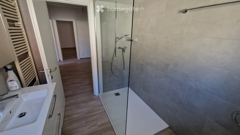 Bellissimo appartamento 3.5 locali a Melide (5)