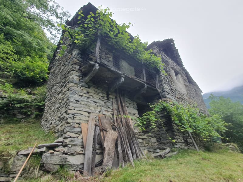 Oasi nel verde della Valle Verzasca (5)