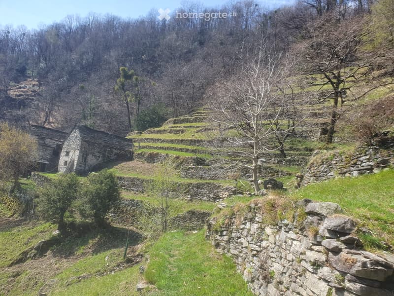 Oasi nel verde della Valle Verzasca (2)