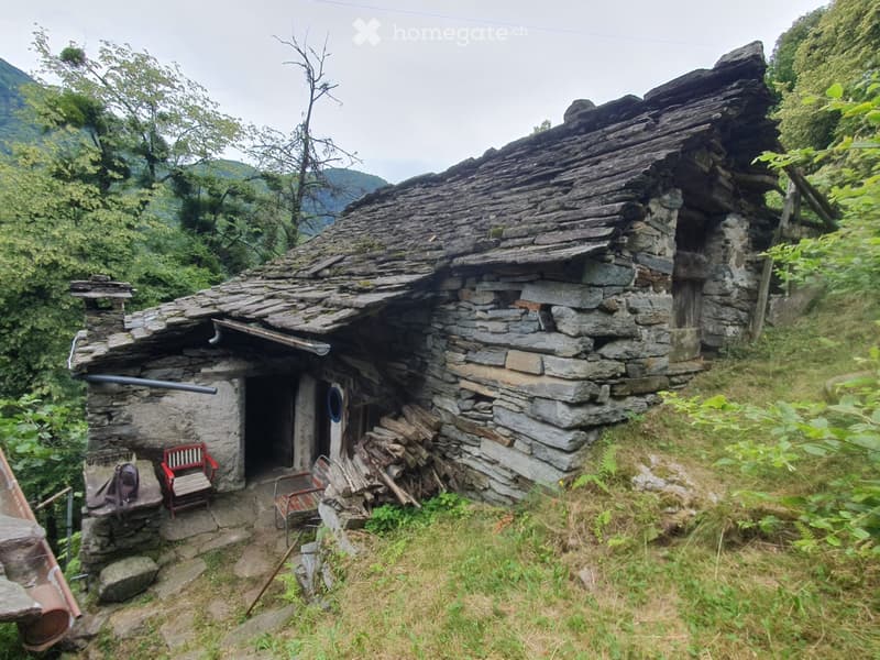 Oasi nel verde della Valle Verzasca (3)