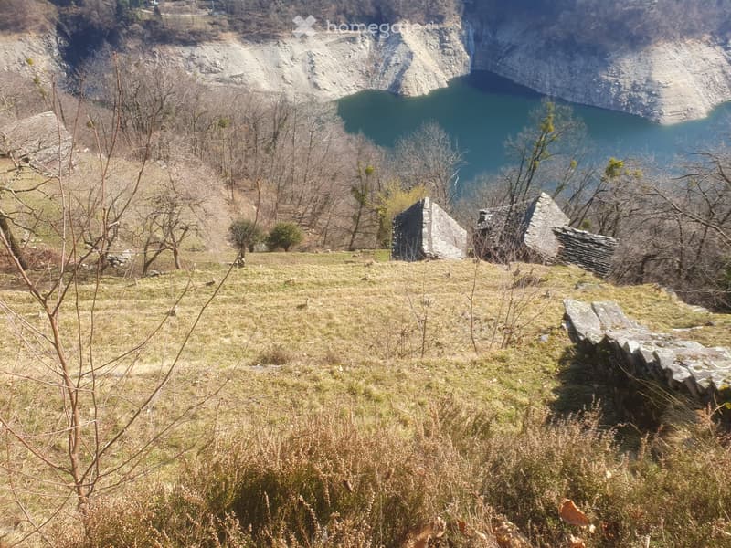 Oasi nel verde della Valle Verzasca (4)
