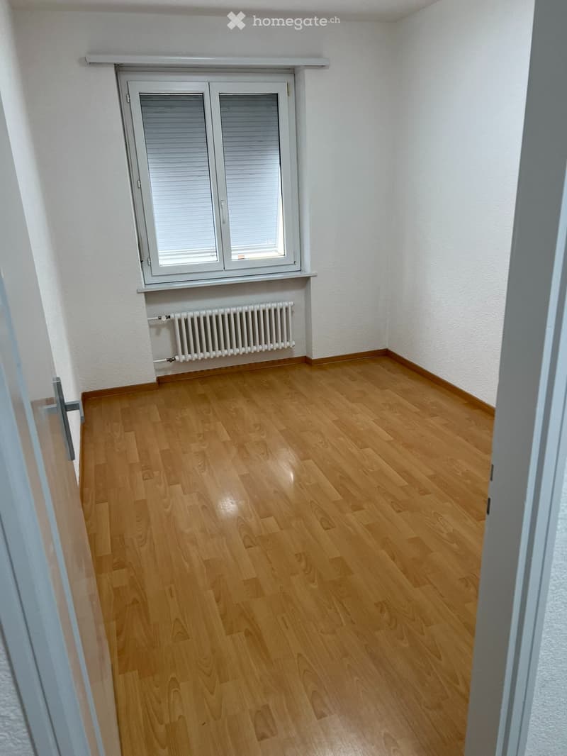 Luminoso appartamento 3.5 locali IRAGNA (2)