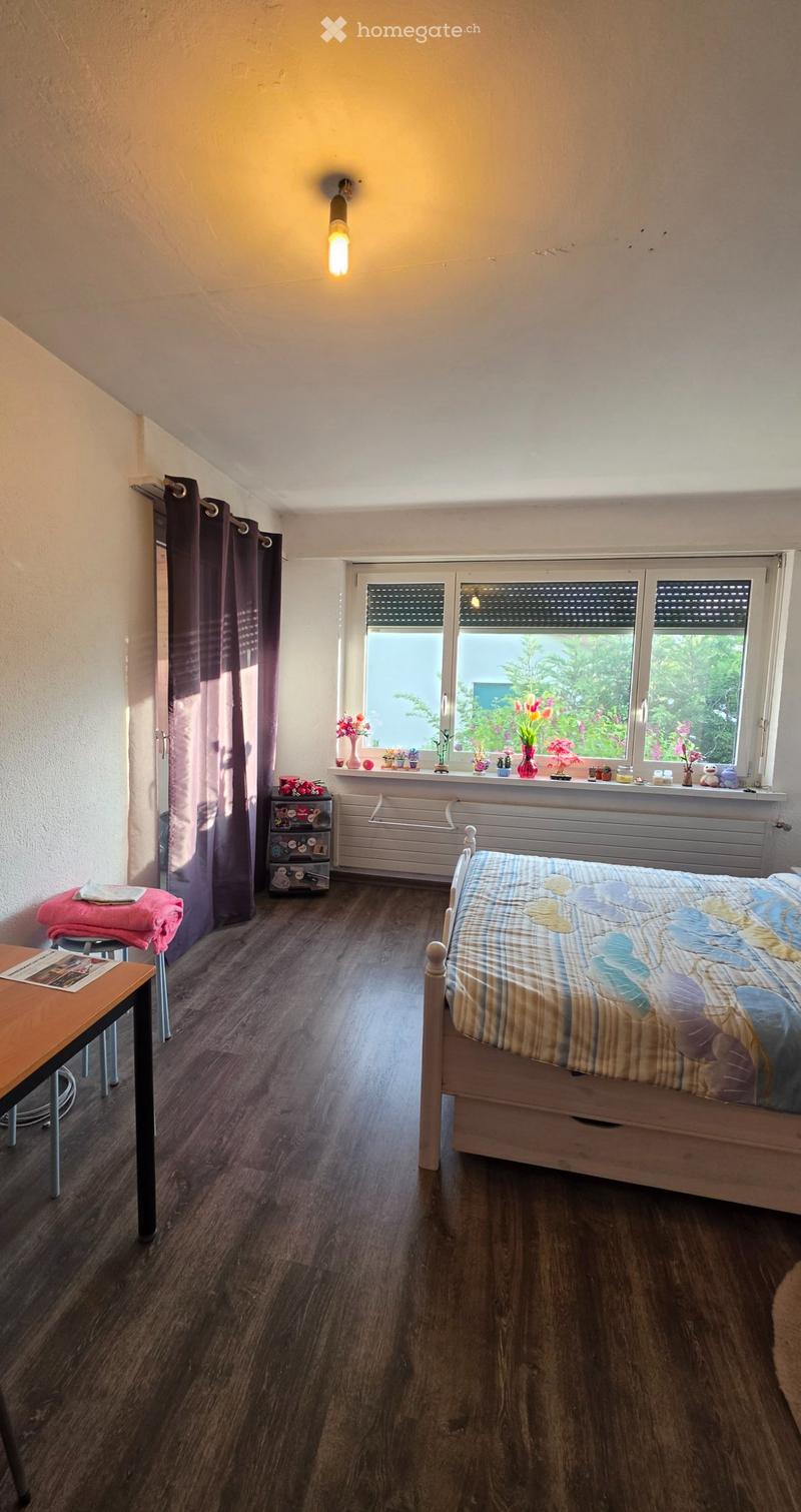 ein grosses Zimmer in EFH zu vermieten (3)