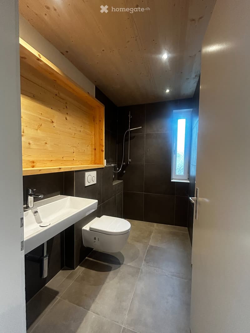 Appartamento ristrutturato di 4 locali con vista meravigliosa in prossimità della città (3)