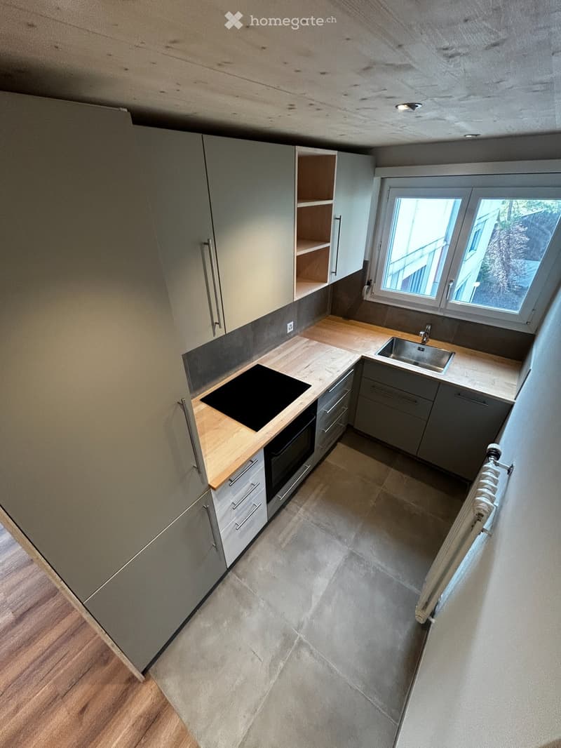 Appartamento ristrutturato di 4 locali con vista meravigliosa in prossimità della città (2)