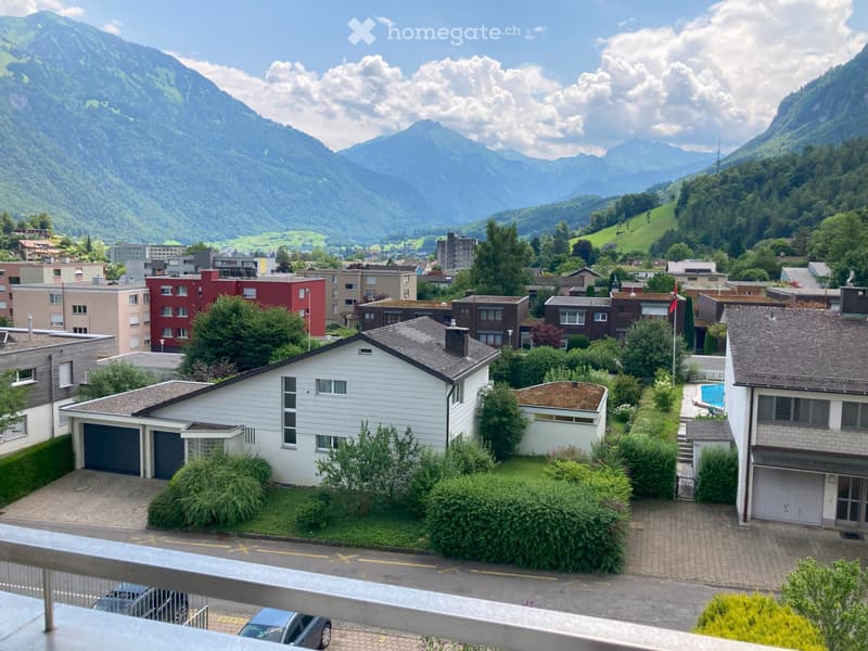 Appartamento ristrutturato di 4 locali con vista meravigliosa in prossimità della città (9)