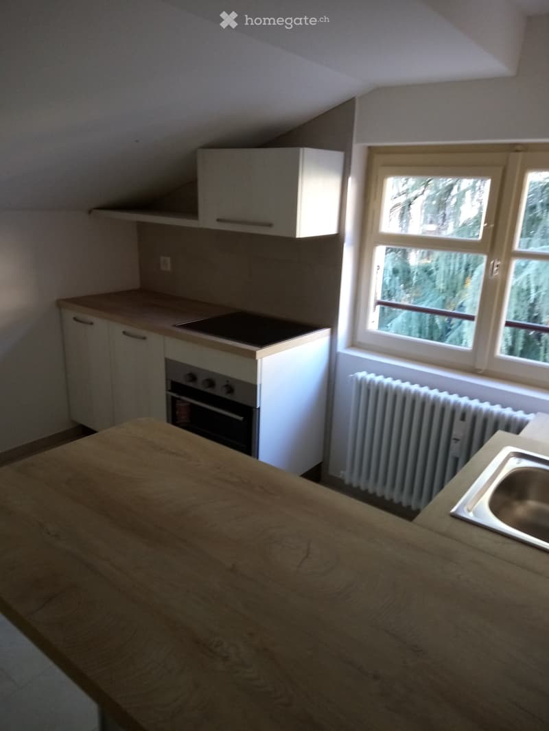 Affittasi Lugano Cassarate appartamento 2.5 locali (2)