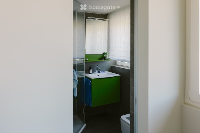 Splendido 3.5 locali con giardino privato (10)