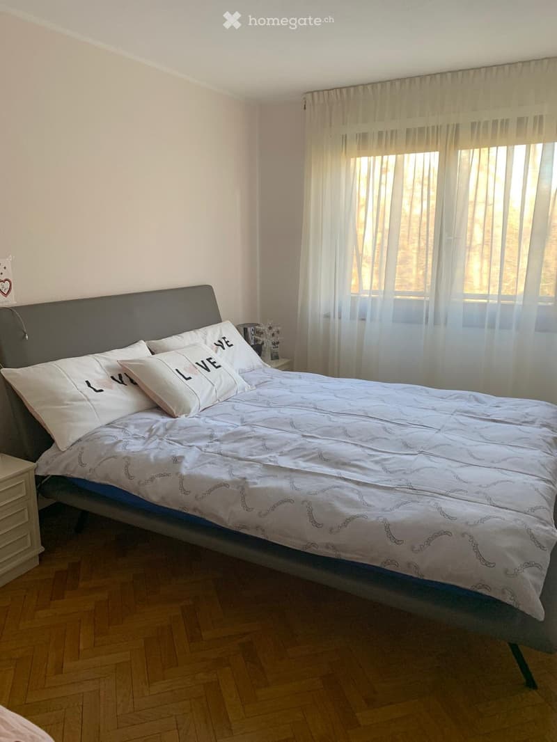 Cerco subentrante  2.5 locali a Comano (Lugano) (4)
