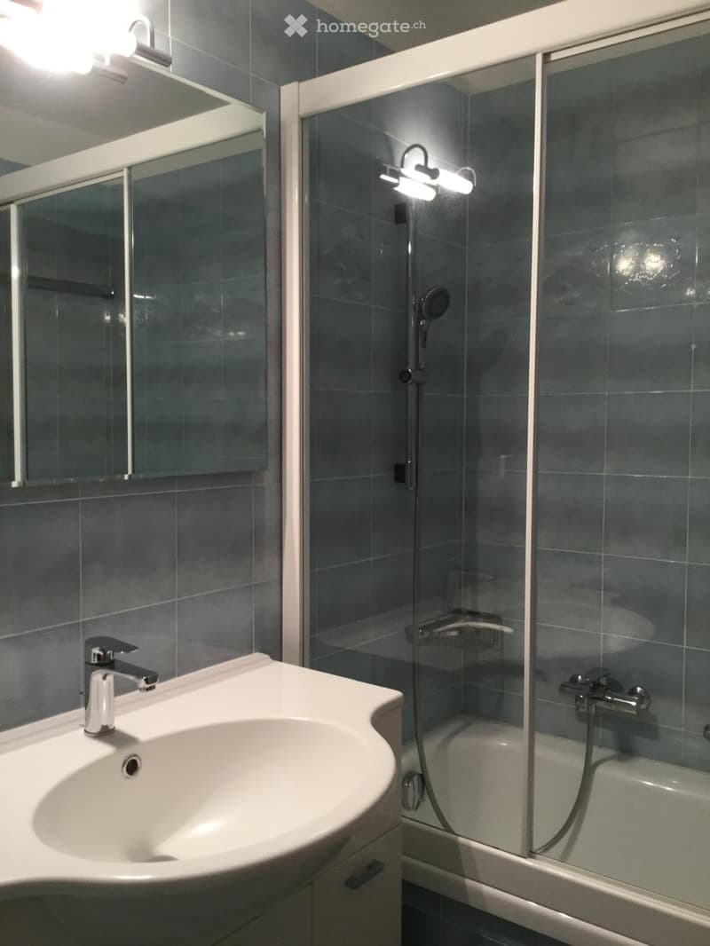 Cerco subentrante  2.5 locali a Comano (Lugano) (5)