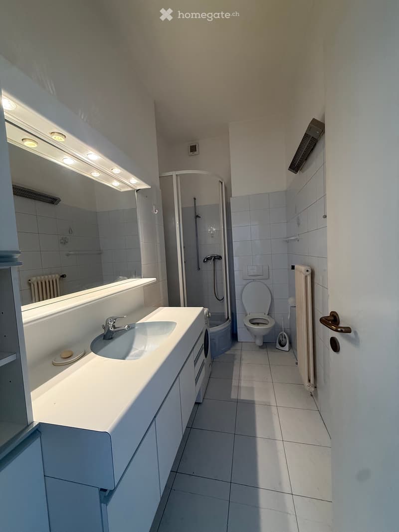 Appartamento Monolocale (4)