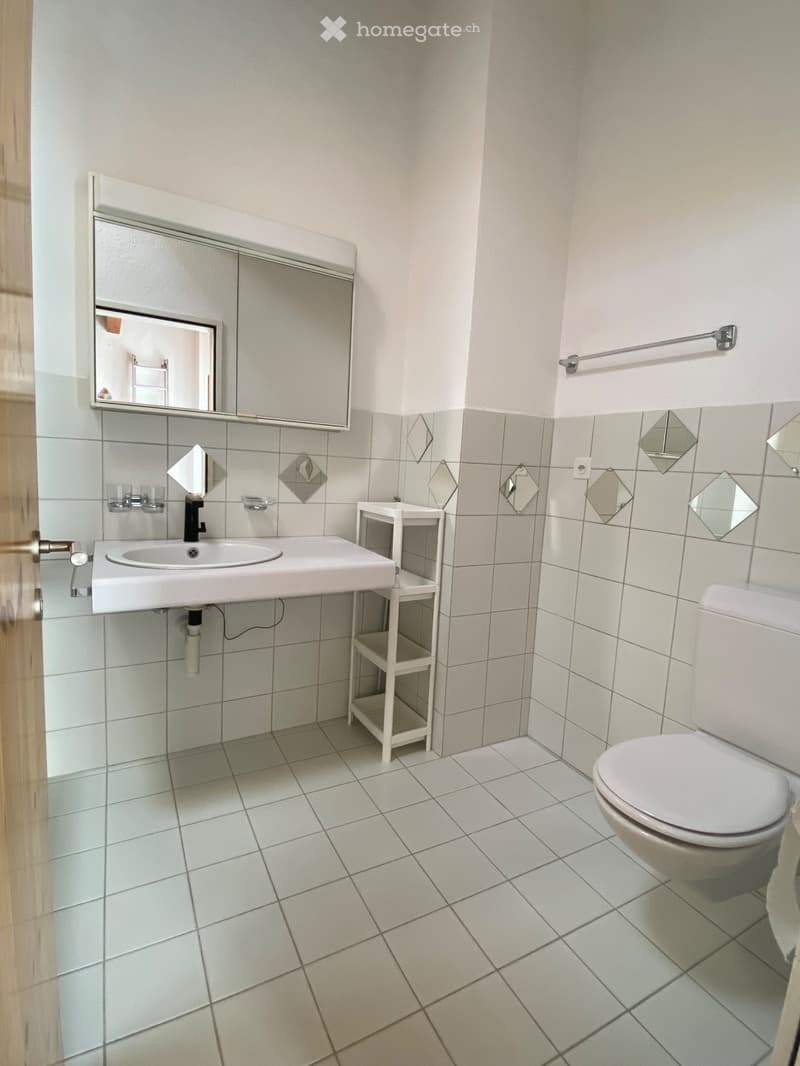 Appartement meublé à Malix 2-pièces avec balcon (4)