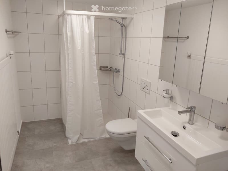 Appartamento moderno di 4,5 locali a Oberdorf Gontenschwil (2)