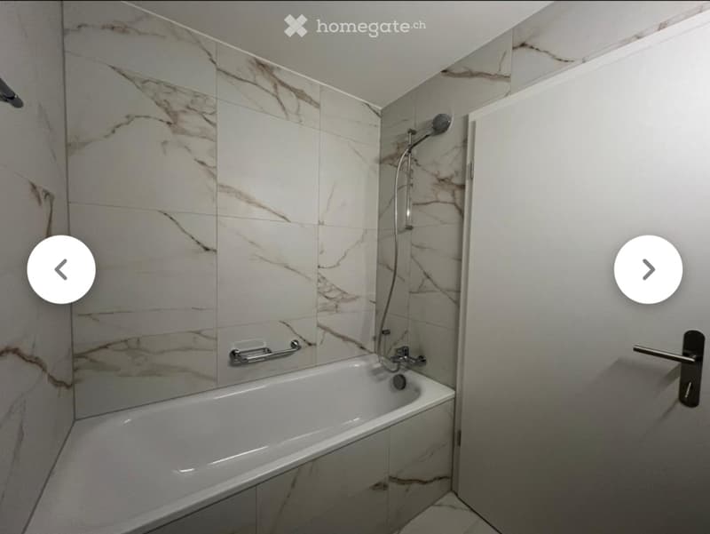 Appartamento 3,5 locali (4)