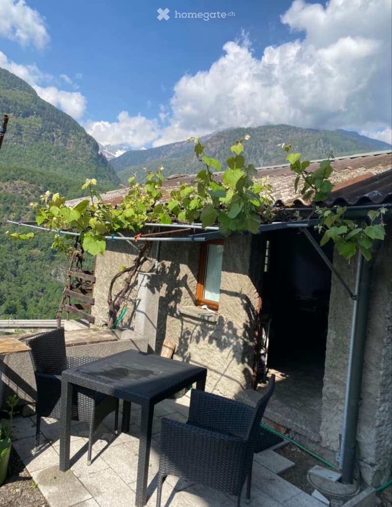 Maison de vigne et propriété rustique à vendre (2)