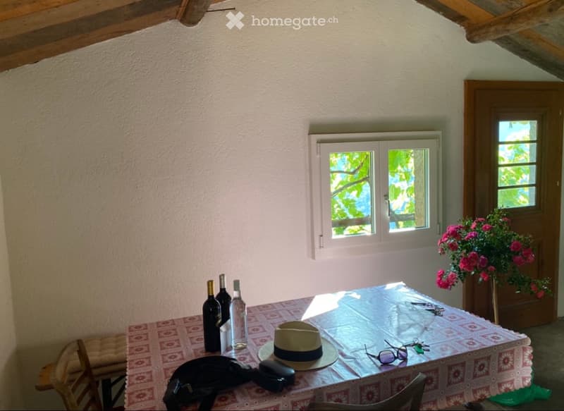 Maison de vigne et propriété rustique à vendre (3)