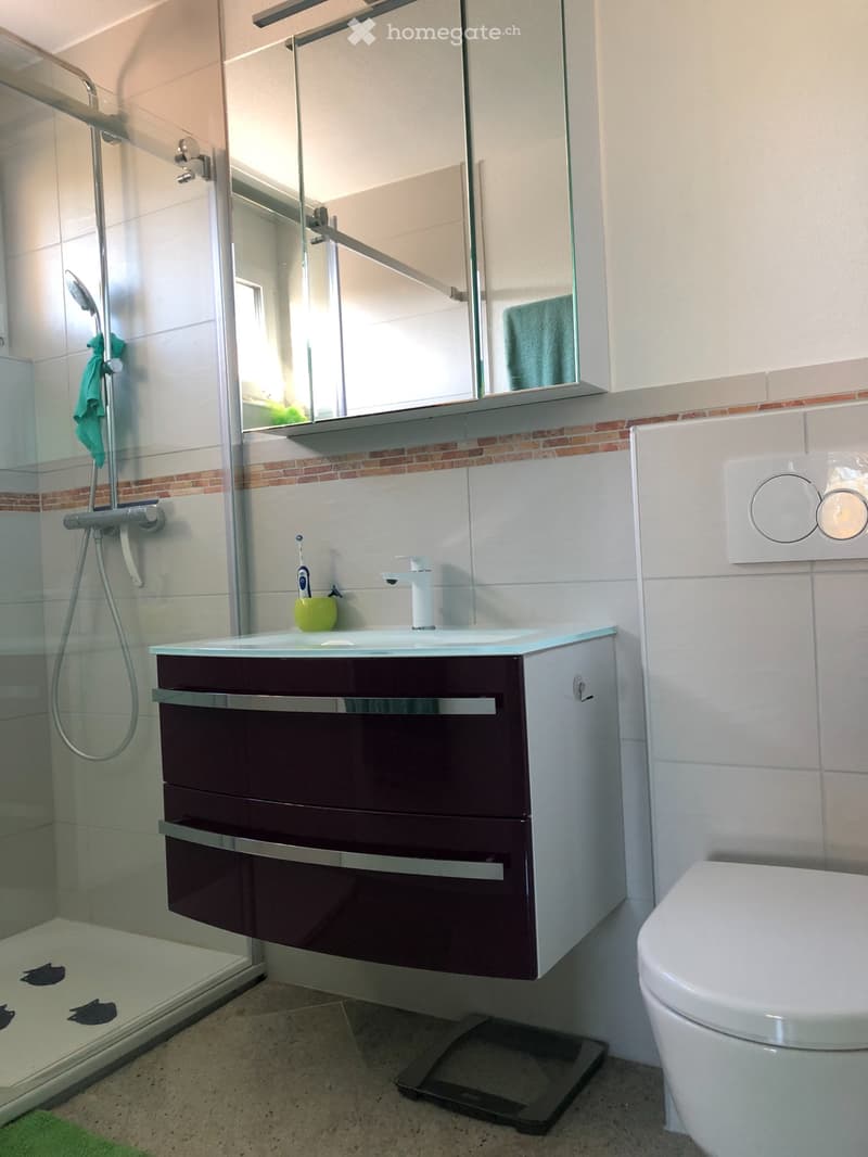 Sell 4.5 room apartment (5)