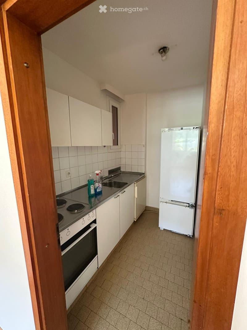 Appartamento 2.5 locali con terrazza a Barbengo (2)