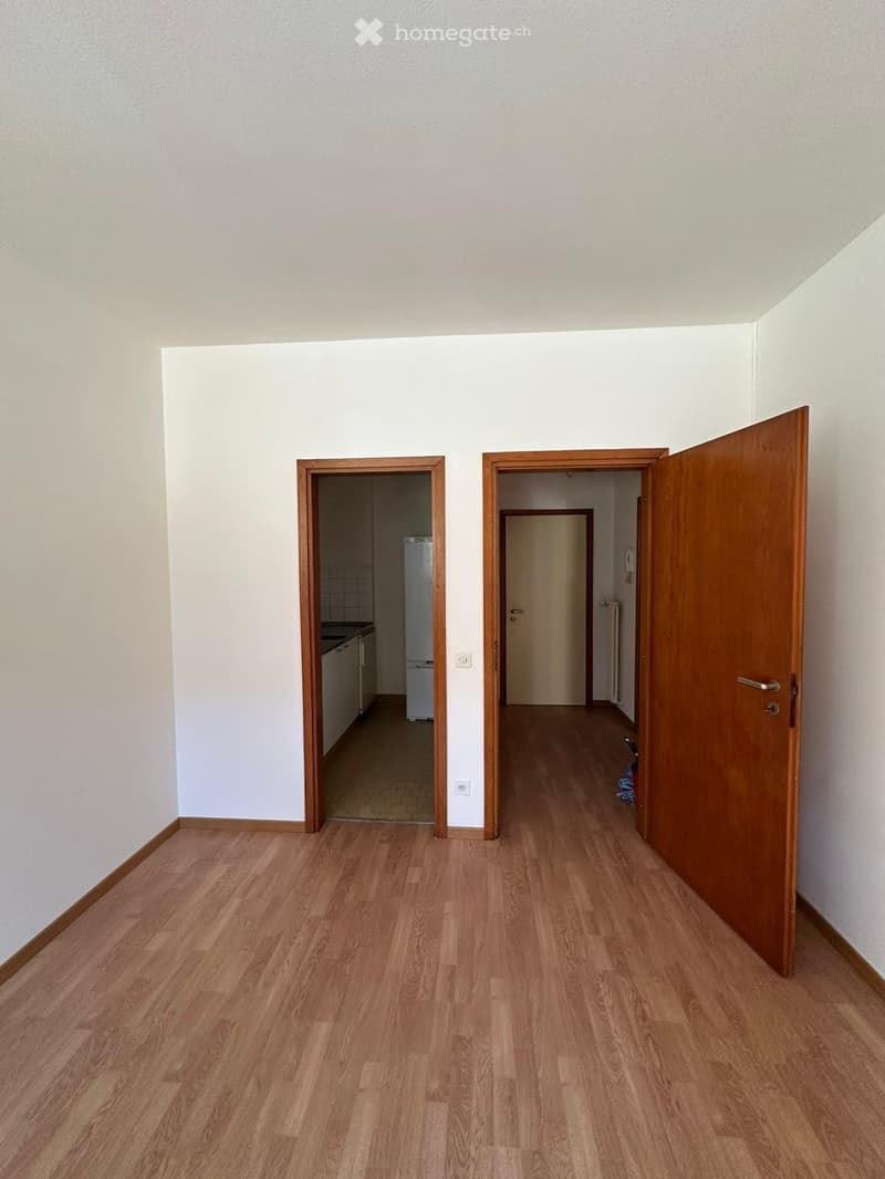 Appartamento 2.5 locali con terrazza a Barbengo (5)