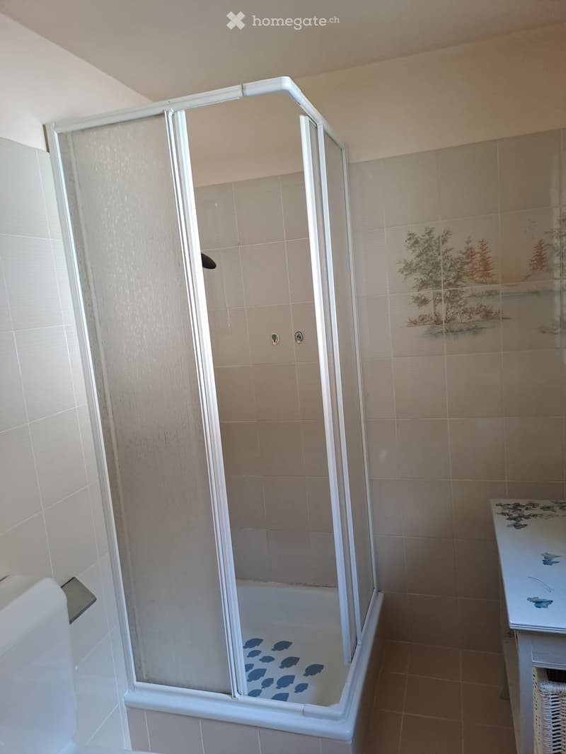 Vendita casa unifamiliare (11)