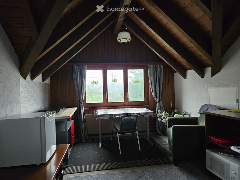 möbliertes Studio in EFH zu vermieten (5)