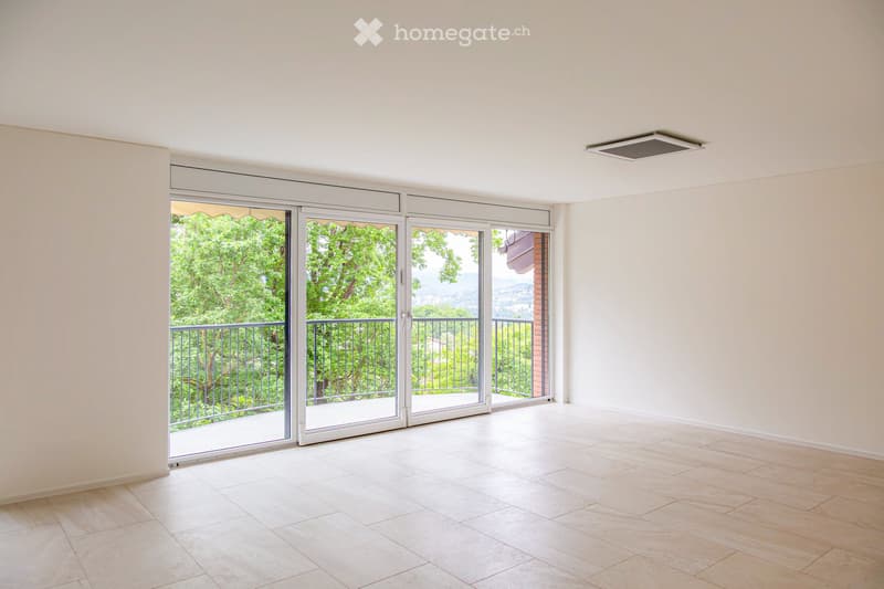 Attico 3.5 + Locale Hobby 40m2 + 2 garage (3)