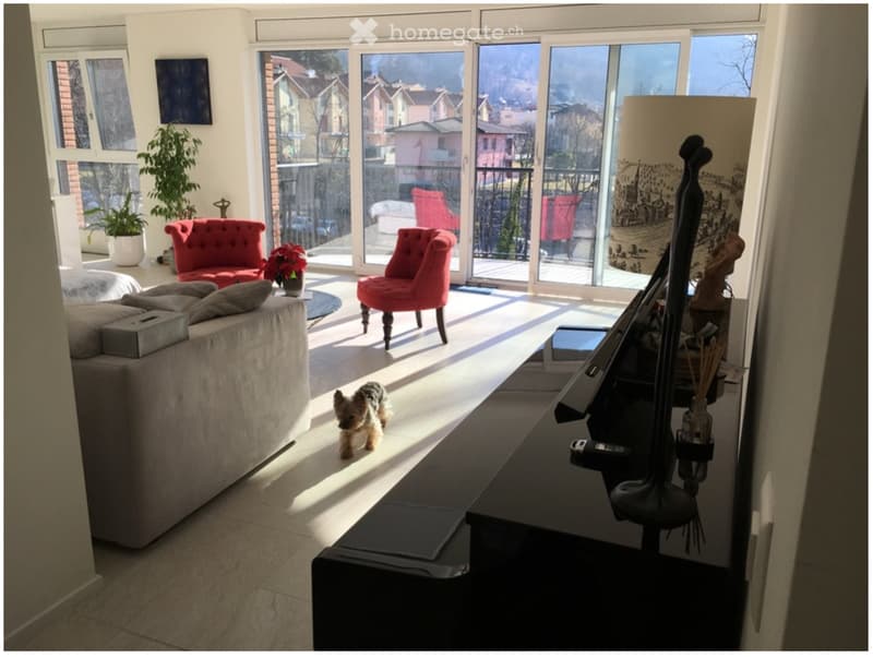 Attico 3.5 + Locale Hobby 40m2 + 2 garage (2)