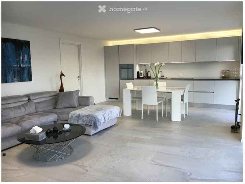 3.5 locali allultimo piano con vista, spazioso locale hobby (4)