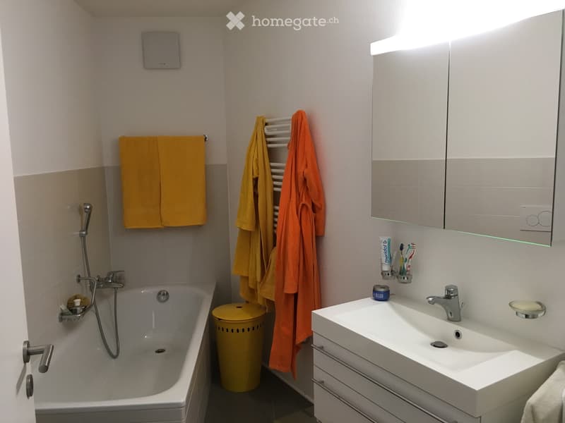 GRANDE E LUMINOSO APPARTAMENTO CON AMPIO TERRAZZO (3)