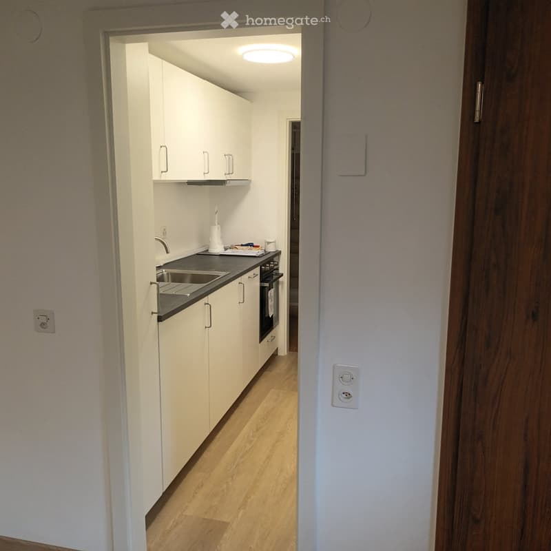 Appartamento monolocale al pianterreno (3)