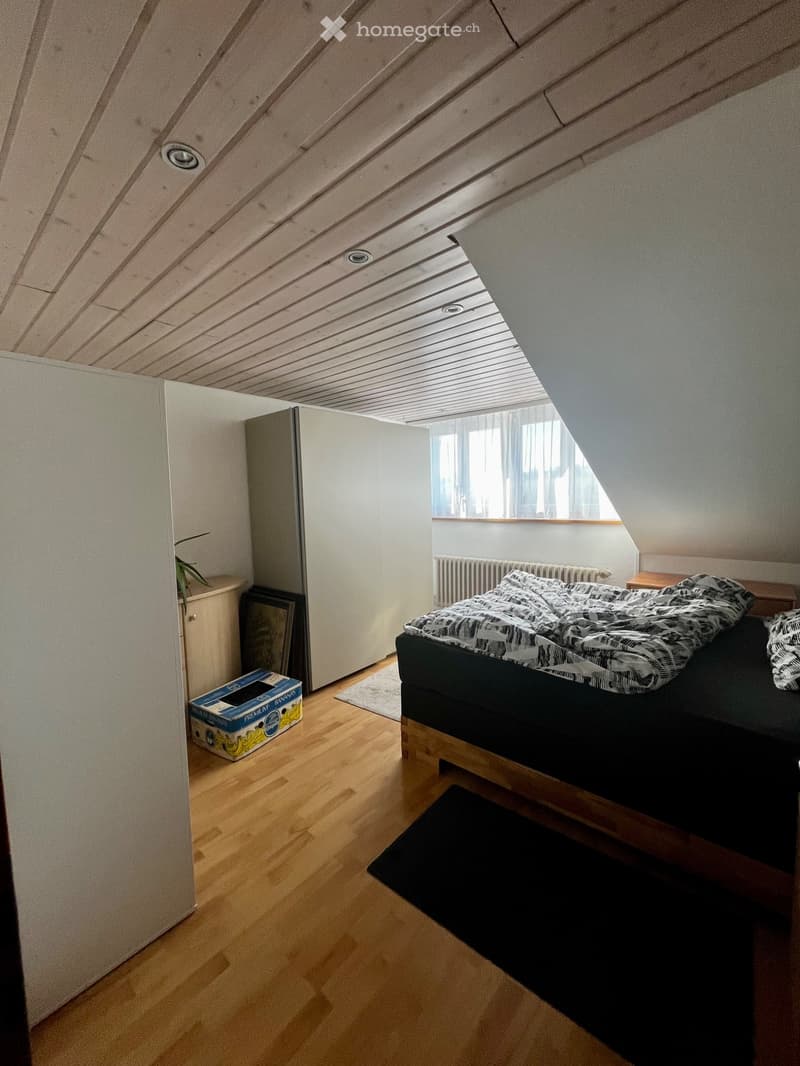 Casa unifamiliare indipendente sul Sonnenberg a Reinach AG (3)