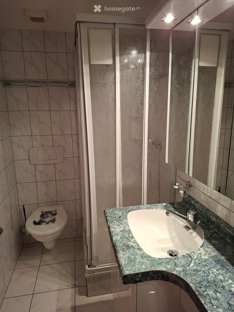 Monolocale arredato a Mund in affitto (5)