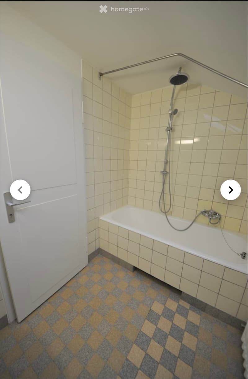 Appartamento 2 camere in affitto a Reinach (5)