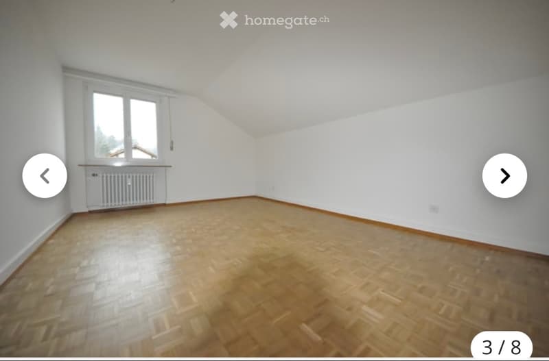 Appartamento 2 camere in affitto a Reinach (3)