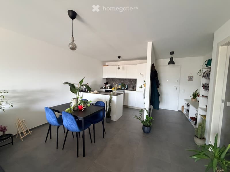 CERCO SUBENTRANTE 2.5 LOCALI A BALERNA (2)