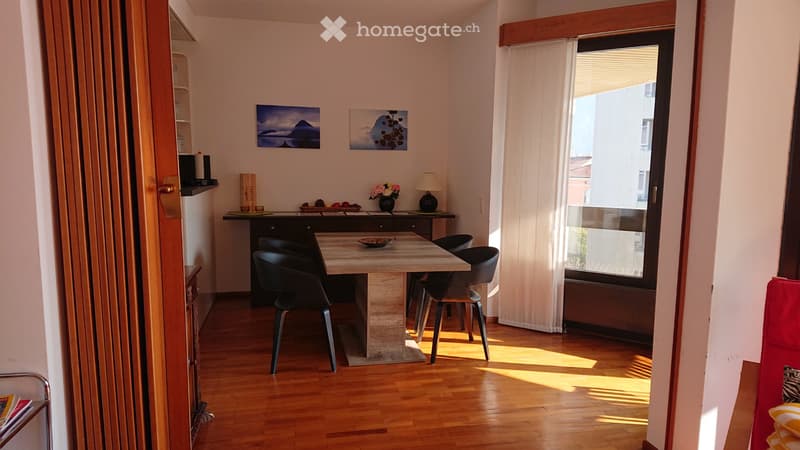 Vendesi appartamento 3.5 locali a Cassarate (2)