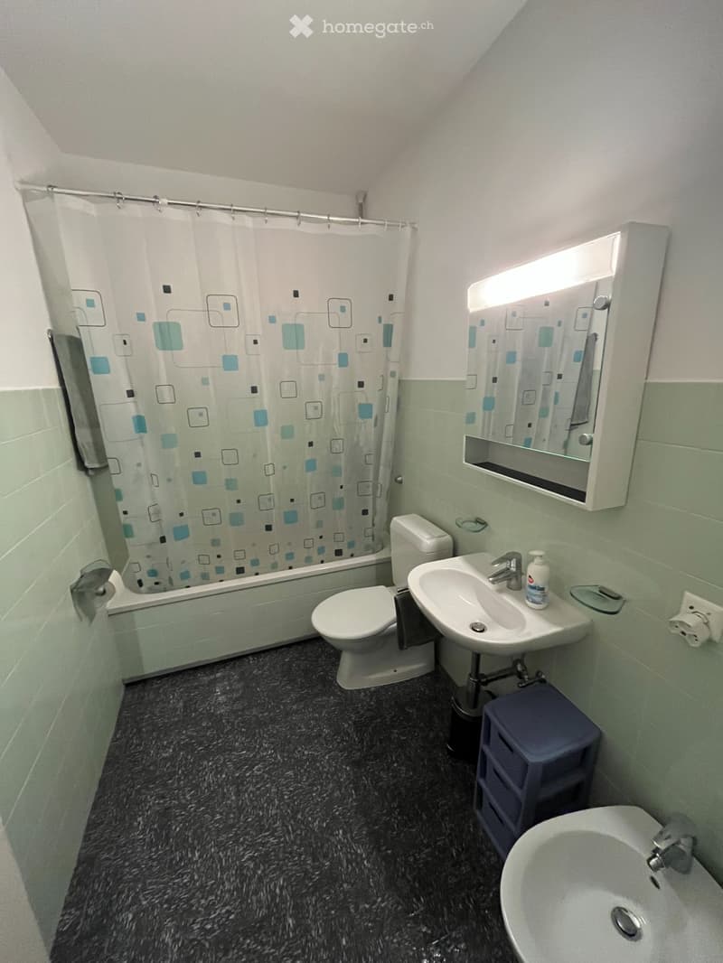 3.5-Room Apartment with Balcony in Central Lugano (2)