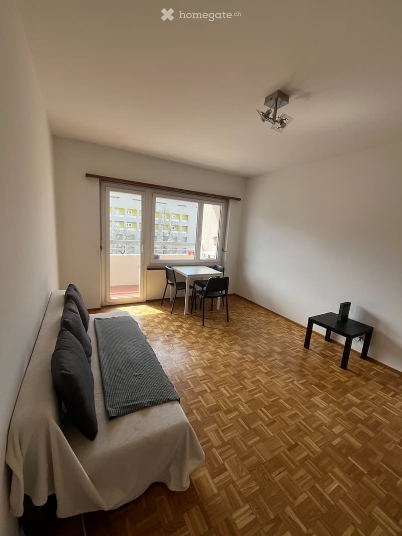 3.5-Room Apartment with Balcony in Central Lugano (4)