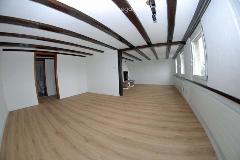 Renovated attic apartment (4)