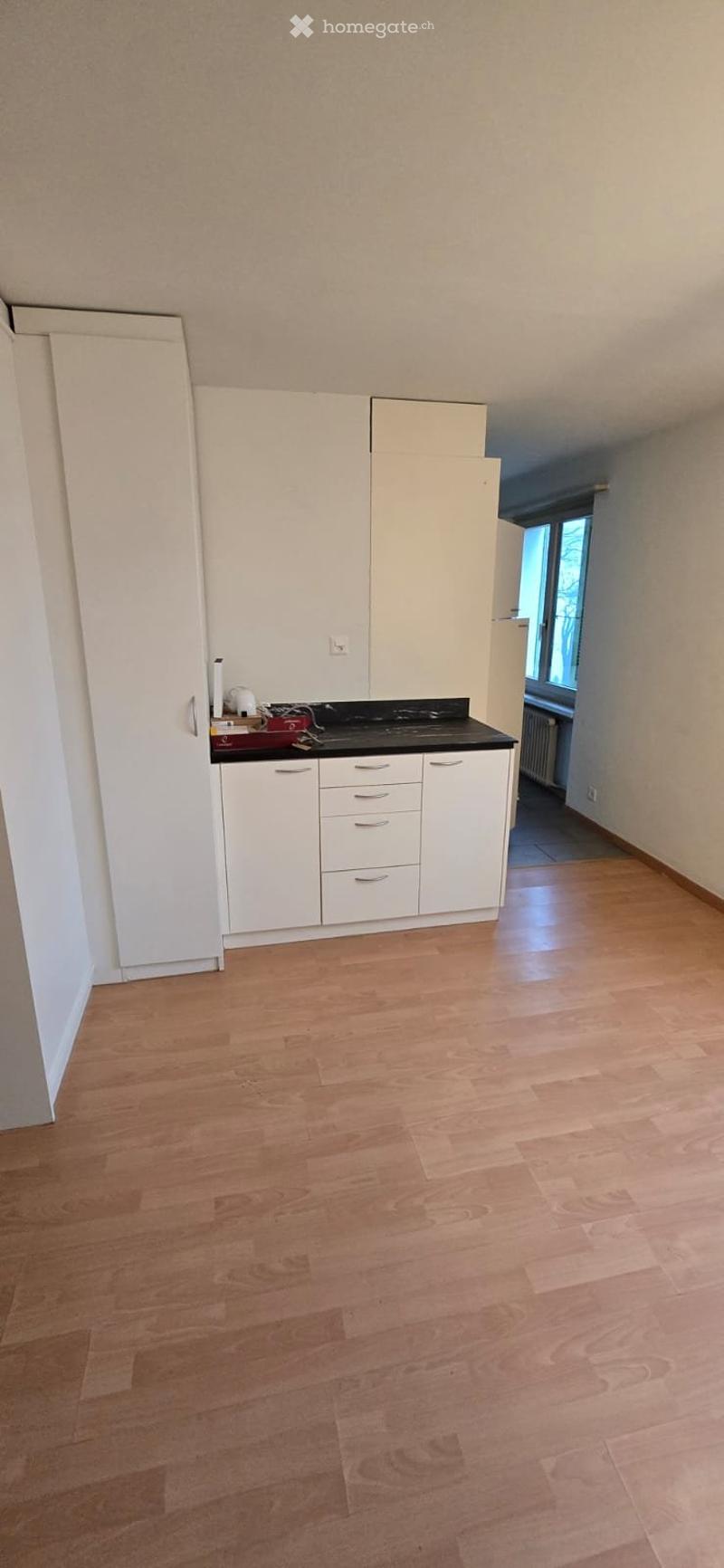 3,5 Zimmer Wohnung zu vermieten (1)